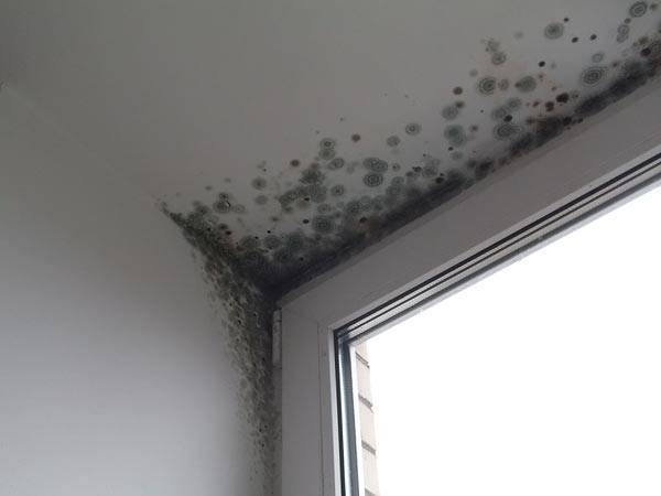 Потеют окна в доме из газобетона