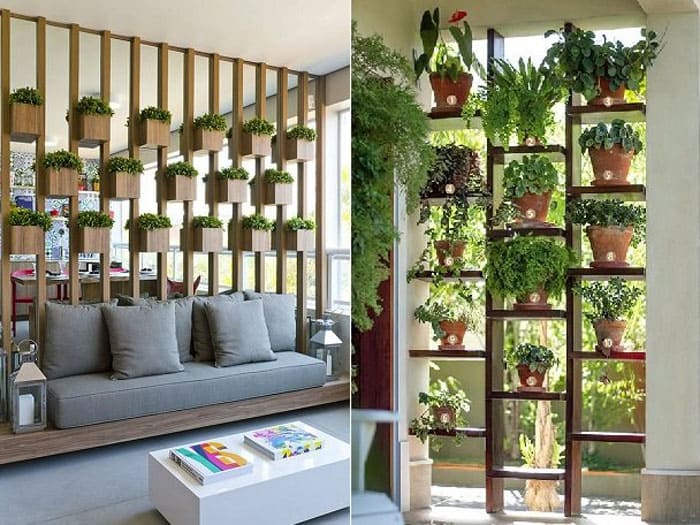 Какие растения будут наиболее выгодно смотреться в интерьере жилого дома