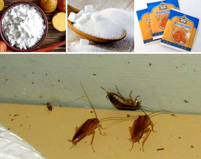 Какое из многочисленных средств от тараканов в квартире является самым эффективным