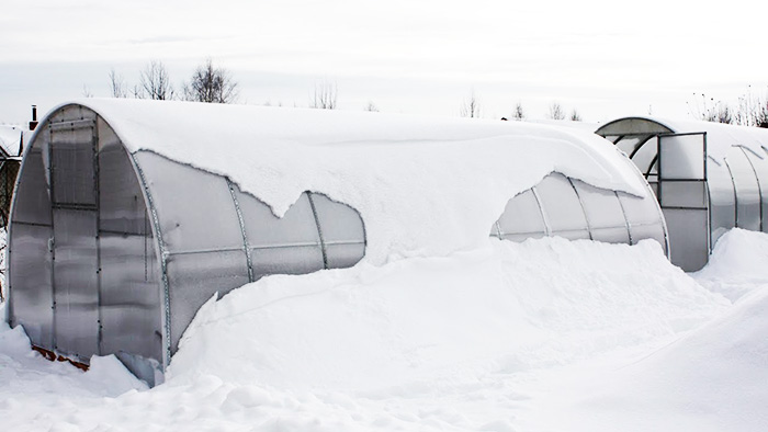 Бывалые огородники рекомендуют зимой счищать снег с крыши, и ближе к весне вносить его на гряды внутрь